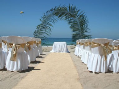 An aisle to the ocean beneath a palm arch